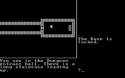 Castle Adventure for IBM PC/Compatibles - Uh oh, this is a dead end...for now.