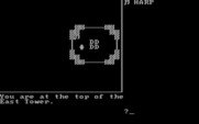 Castle Adventure for IBM PC/Compatibles - At the top of a tall tower...
