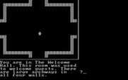 Castle Adventure for IBM PC/Compatibles - Hmm, which way to go?