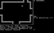 Castle Adventure for IBM PC/Compatibles - I have a helmet now...