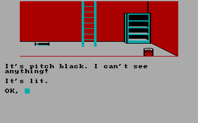 Calixto Island IBM PC/Compatibles Screenshot: We're in the cellar now.  What comes next?
