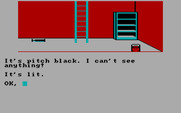 Calixto Island for IBM PC/Compatibles - We're in the cellar now.  What comes next?
