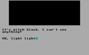 Calixto Island for IBM PC/Compatibles - It is pitch black here; sure could use some light!