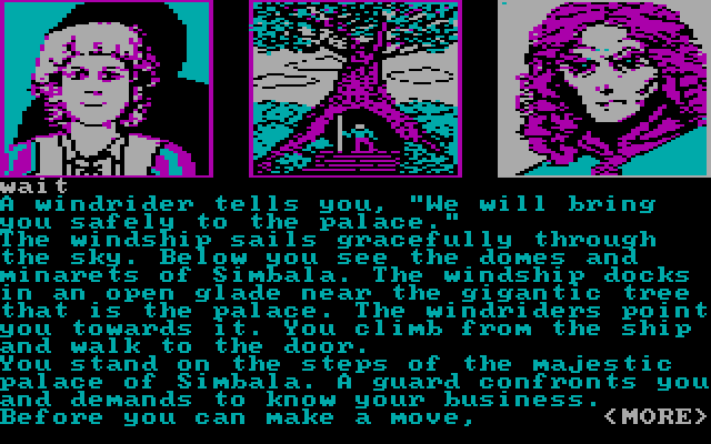 Dragonworld IBM PC/Compatibles Screenshot: At the majestic Palace of Simbala