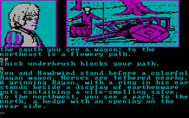 Dragonworld IBM PC/Compatibles Screenshot: Vile-smelling salve... what could it be?