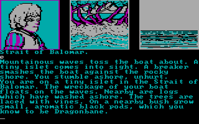Dragonworld IBM PC/Compatibles Screenshot: A minor setback