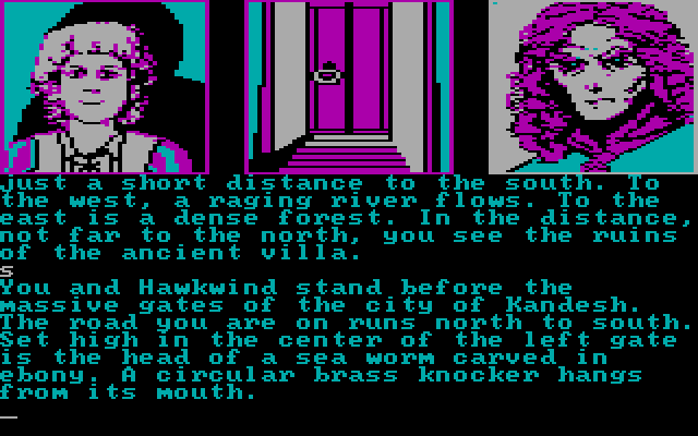 Dragonworld IBM PC/Compatibles Screenshot: Before the gates of the city of Kandesh