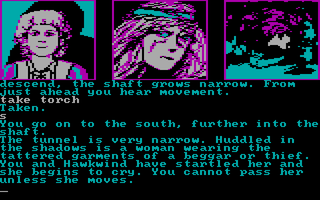 Dragonworld IBM PC/Compatibles Screenshot: How will you get past the frightened woman?