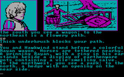 Dragonworld for IBM PC/Compatibles - Vile-smelling salve... what could it be?