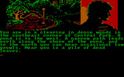 Fahrenheit 451 for IBM PC/Compatibles - Initial game setup screen