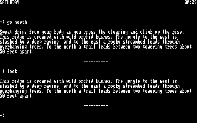 Rambo: First Blood Part II IBM PC/Compatibles Screenshot: Exploring the area...