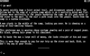 Rambo: First Blood Part II for IBM PC/Compatibles - I could be in trouble...