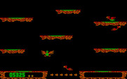 Conquest for IBM PC/Compatibles - An opponent got me, so my bird plummets to the bottom of the screen.