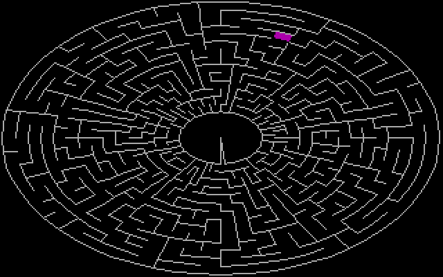 PolyMaze IBM PC/Compatibles Screenshot: The mazes can be made very simple, or very complicated like this one.