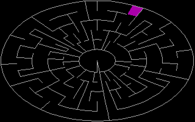 PolyMaze IBM PC/Compatibles Screenshot: Try to reach the center of the maze.