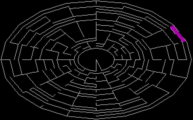PolyMaze IBM PC/Compatibles Screenshot: The options selected can change the appearance of the maze.