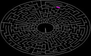 PolyMaze for IBM PC/Compatibles - The mazes can be made very simple, or very complicated like this one.