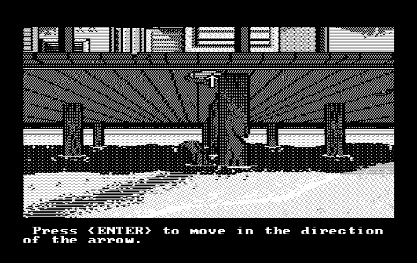 Manhunter 2: San Francisco IBM PC/Compatibles Screenshot: Underneath the pier looking for clues...