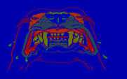 Manhunter 2: San Francisco for IBM PC/Compatibles - Uh oh, they have a guard dog!