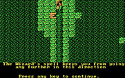 Wizard's Crown for IBM PC/Compatibles - A wizard's spell keeps me from going in this direction!