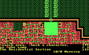 Wizard's Crown for IBM PC/Compatibles - What lies beyond this gate?