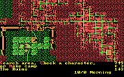 Wizard's Crown for IBM PC/Compatibles - What have I found here?