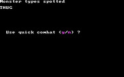 Wizard's Crown for IBM PC/Compatibles - Battle time! Use quick combat?