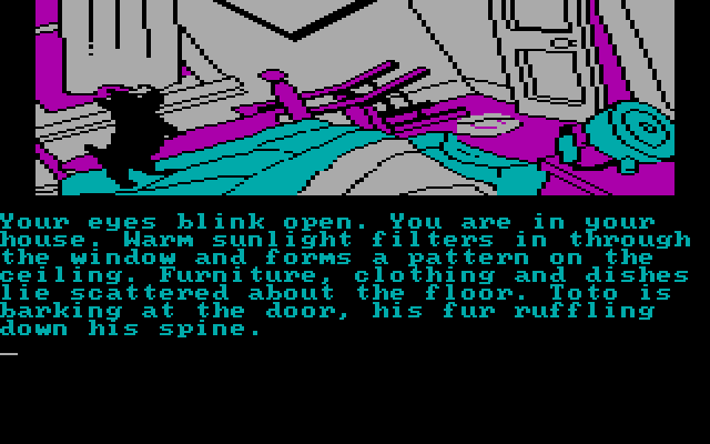 Wizard of Oz, The IBM PC/Compatibles Screenshot: The game opens with quite a mess...