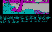 Wizard of Oz, The for IBM PC/Compatibles - Crossing a river...