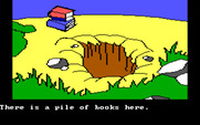Winnie the Pooh in the Hundred Acre Wood for IBM PC/Compatibles - What a strange place to leave books...