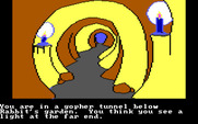Winnie the Pooh in the Hundred Acre Wood for IBM PC/Compatibles - The tunnel leading to Rabbit's home...