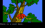 Winnie the Pooh in the Hundred Acre Wood for IBM PC/Compatibles - I found a coat in the tree!