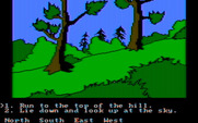 Winnie the Pooh in the Hundred Acre Wood for IBM PC/Compatibles - Run up the hill?