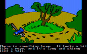Winnie the Pooh in the Hundred Acre Wood for IBM PC/Compatibles - What did I find here?