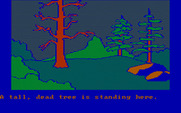 Winnie the Pooh in the Hundred Acre Wood for IBM PC/Compatibles - A tall, dead tree is standing here...(why is it standing here? It can't leave!)