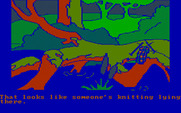 Winnie the Pooh in the Hundred Acre Wood for IBM PC/Compatibles - I found some knitting!