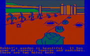 Winnie the Pooh in the Hundred Acre Wood for IBM PC/Compatibles - Rabbit's garden...