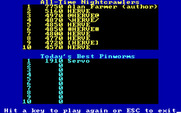 Willy The Worm for IBM PC/Compatibles - The best high scores.