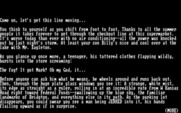Mist, The for IBM PC/Compatibles - Introduction.