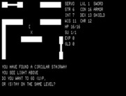 Telengard for TRS-80 - I found a circular stairway...Should I go up?