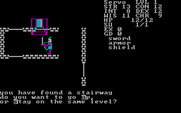 Telengard for IBM PC/Compatibles - Found a stairway...