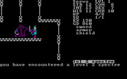 Telengard for IBM PC/Compatibles - Encountering a level 2 spectre...
