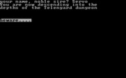 Telengard for IBM PC/Compatibles - Entering the dungeon...beware!