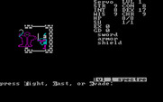 Telengard for IBM PC/Compatibles - Fighting a level 1 spectre.