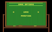 Championship Baseball for IBM PC/Compatibles - Time to select some game options...