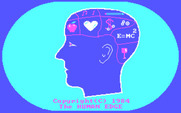 Mind Prober for IBM PC/Compatibles - Calculating the results...