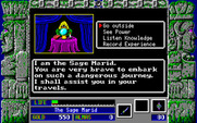 Zeliard for IBM PC/Compatibles - Can you level up? Or is more experience required?