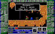 Zeliard for IBM PC/Compatibles - This box looks dangerous.