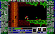 Zeliard for IBM PC/Compatibles - Running, but this is a dead end!