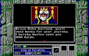 Zeliard for IBM PC/Compatibles - You'll need some money to get started.